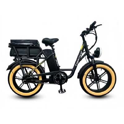 Ebike met dikke banden van 1000 watt